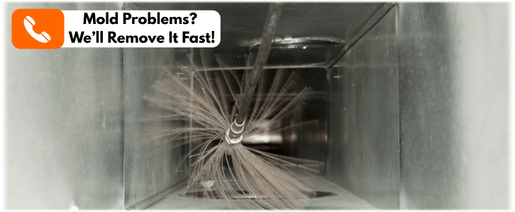 Air Duct Mold Removal in Deerfield IL