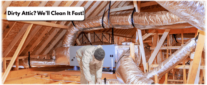 Attic Cleaning Deerfield IL
