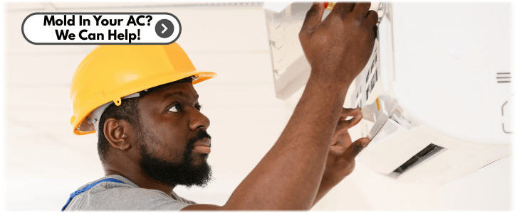 HVAC Mold Removal Deerfield IL